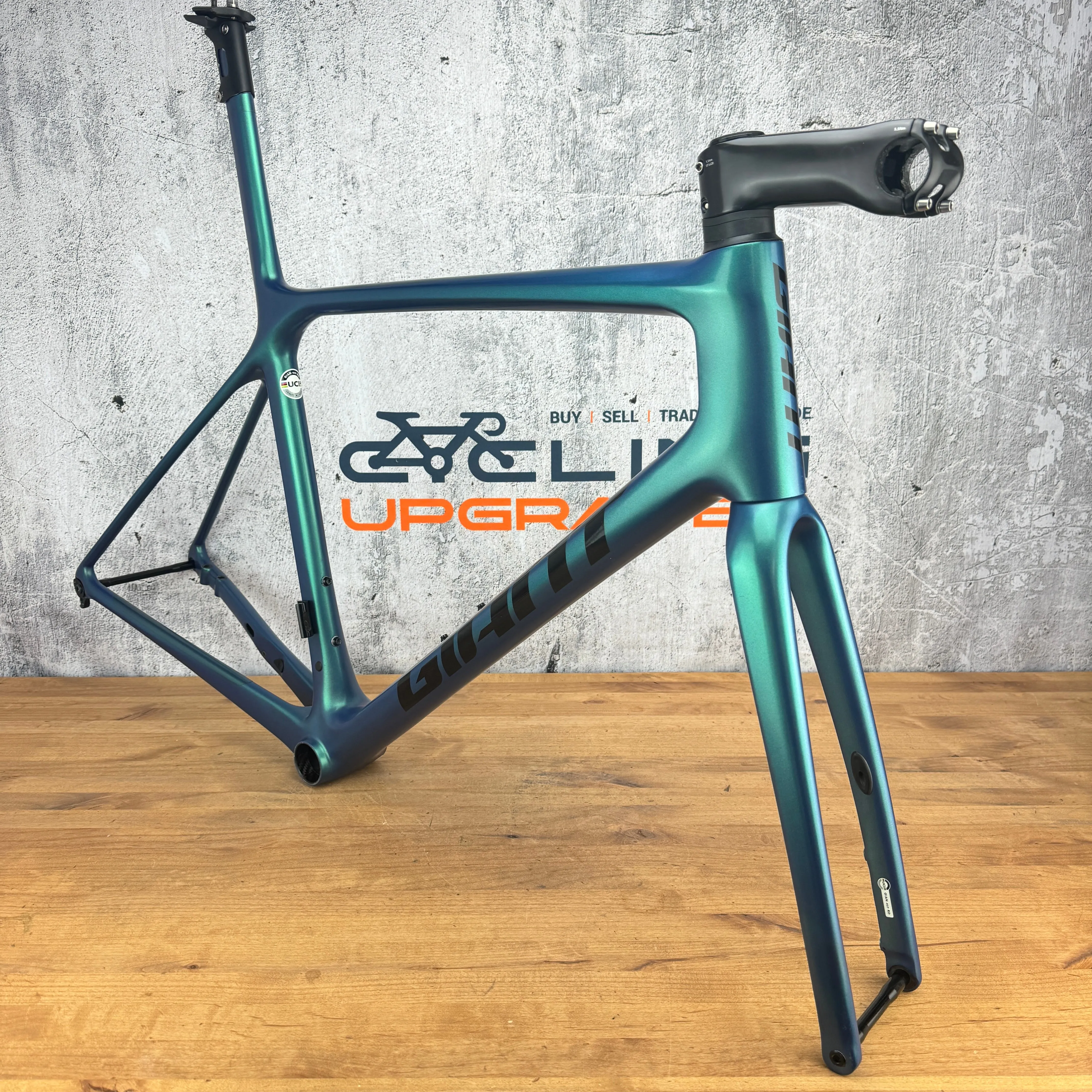 2021 Giant TCR Advanced SL M/L Carbon Disc Brake ISP Chrysocolla Frameset 700c