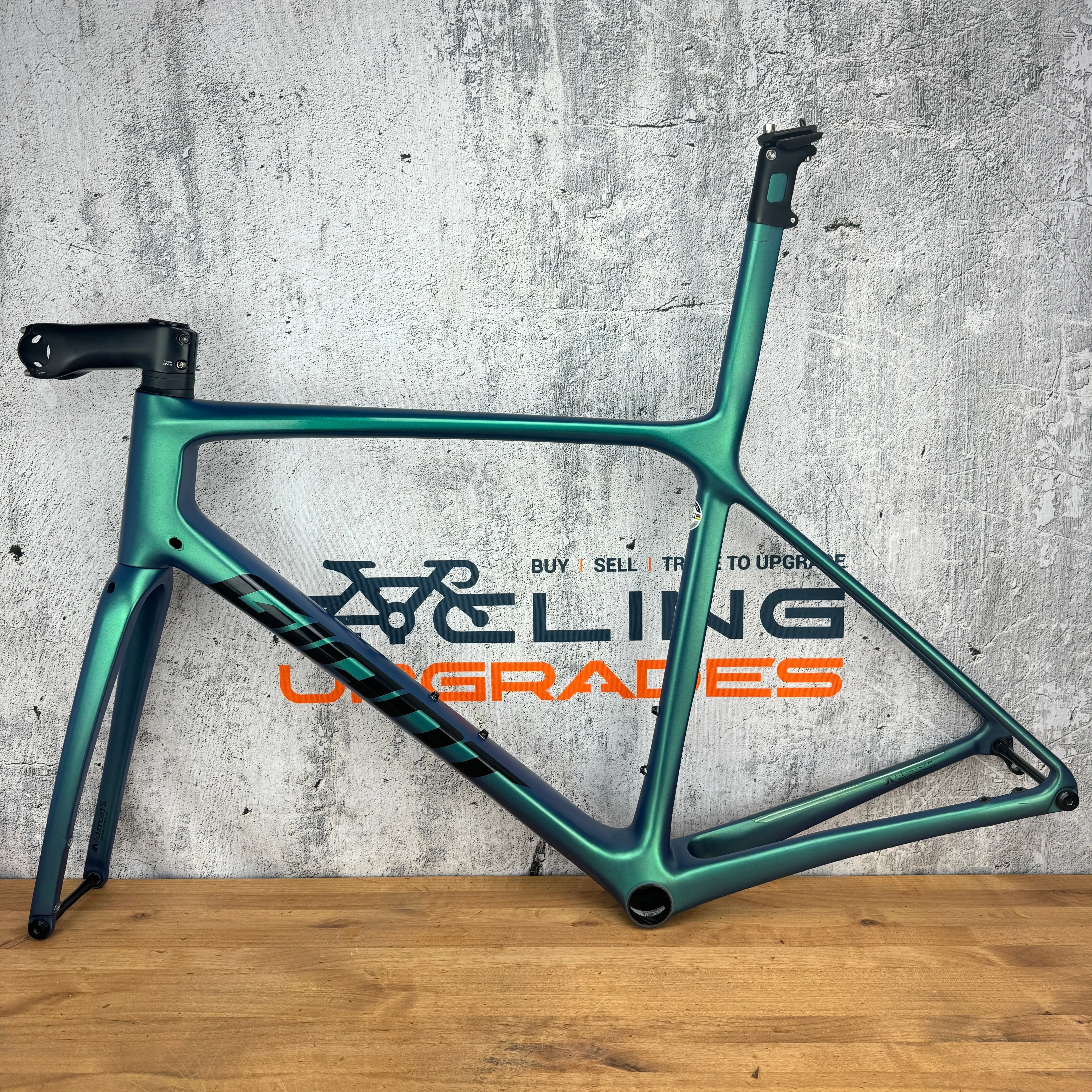 2021 Giant TCR Advanced SL M/L Carbon Disc Brake ISP Chrysocolla Frameset 700c