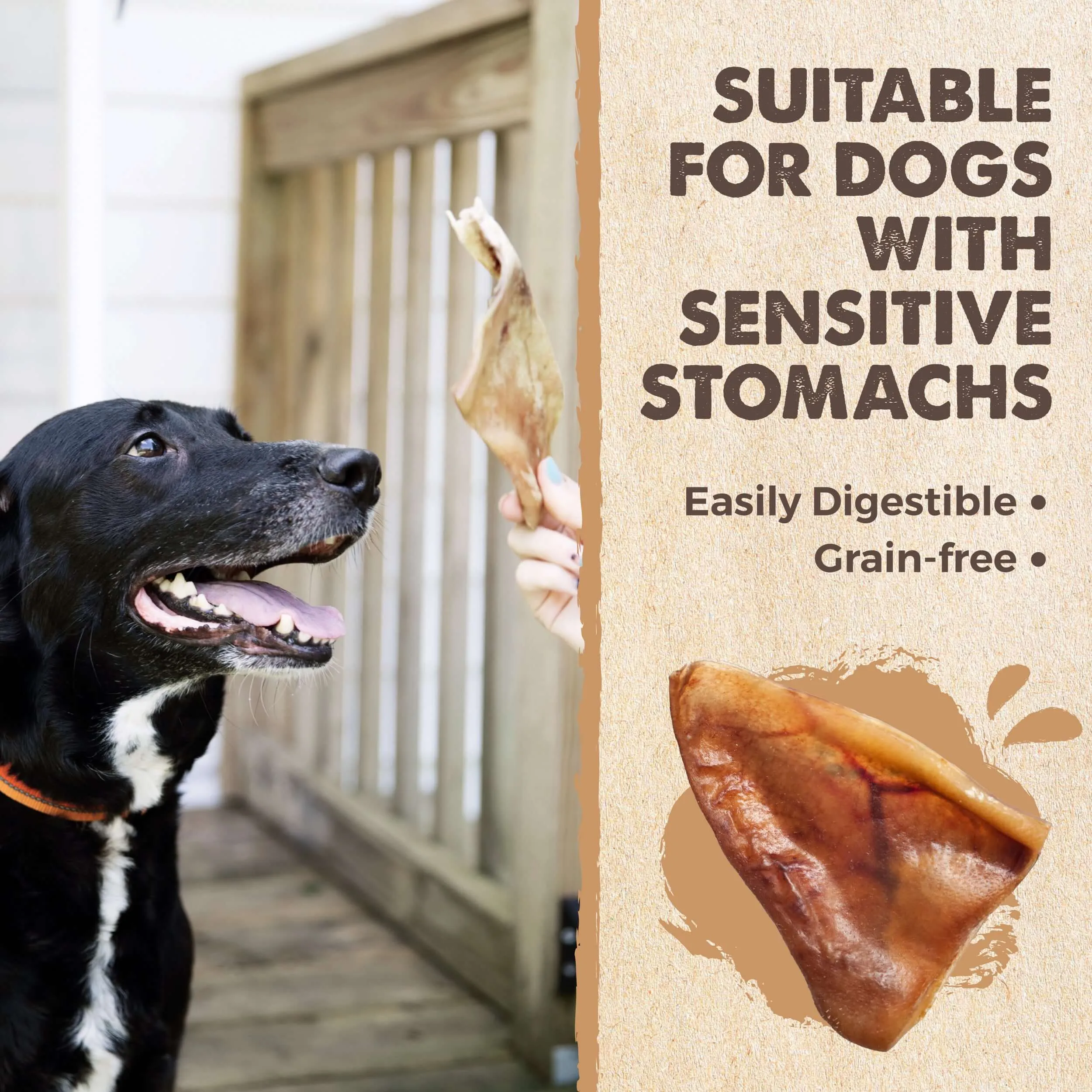 Natural Pig Ear Dog Chews: Wholesome Treats for Happy Pups (12pk)