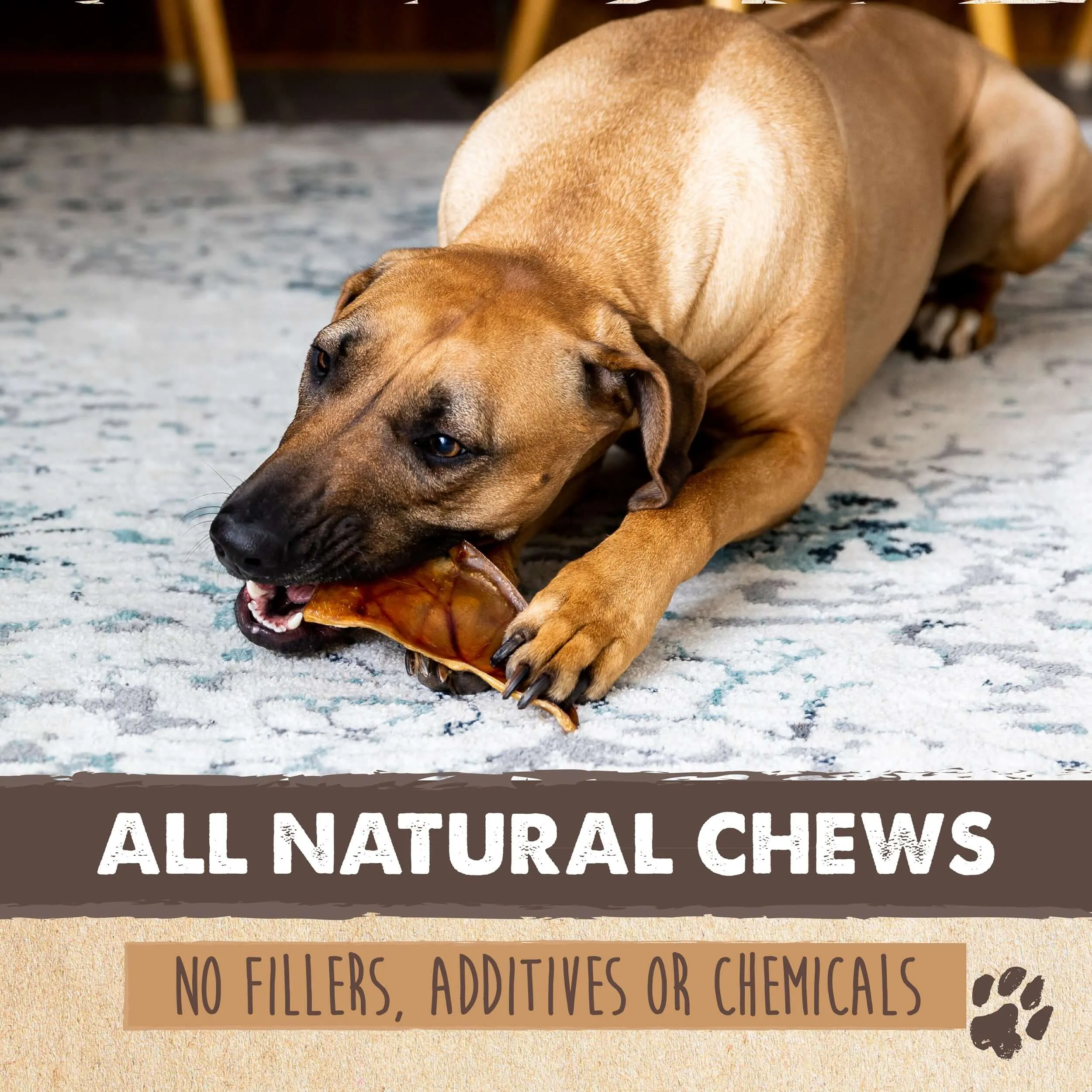 Natural Pig Ear Dog Chews: Wholesome Treats for Happy Pups (12pk)