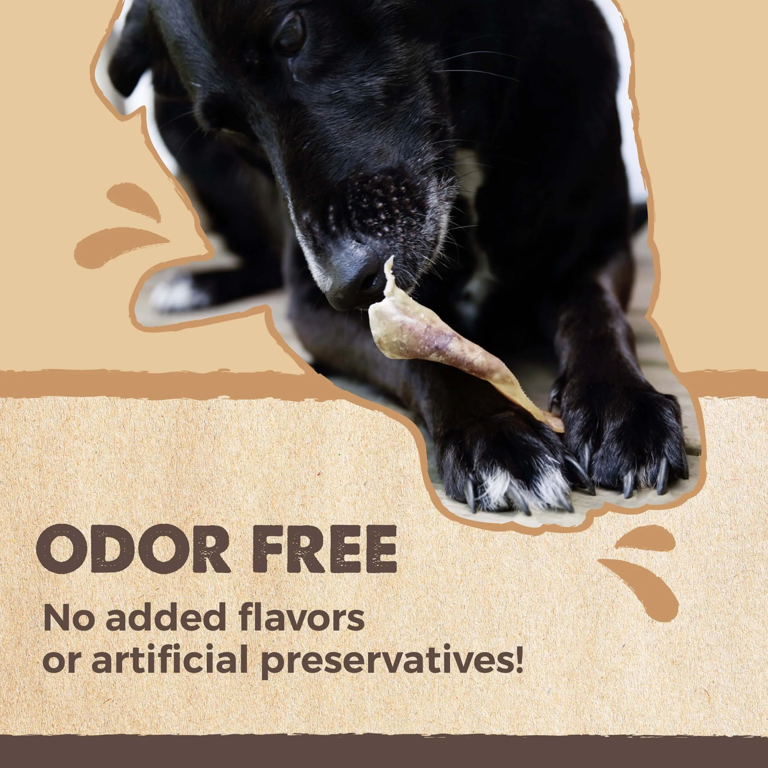 Natural Pig Ear Dog Chews: Wholesome Treats for Happy Pups (12pk)